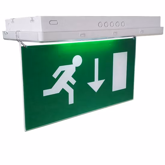 CE RoHS 5W 天井埋込型 IP65 充電式 LED 非常口標識